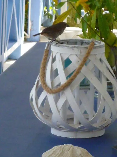 Sunshine House Hotel Holetown Barbados